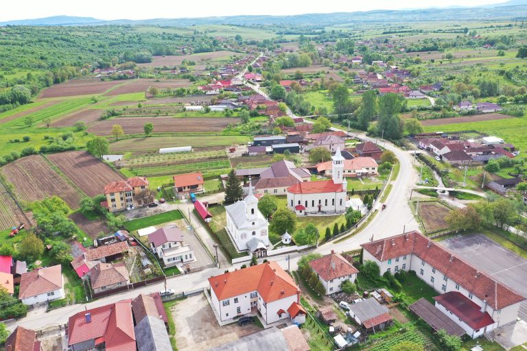 Anunț colectiv