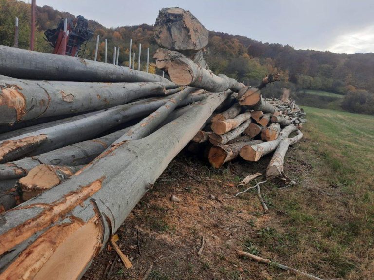 Anunț – lemne de foc